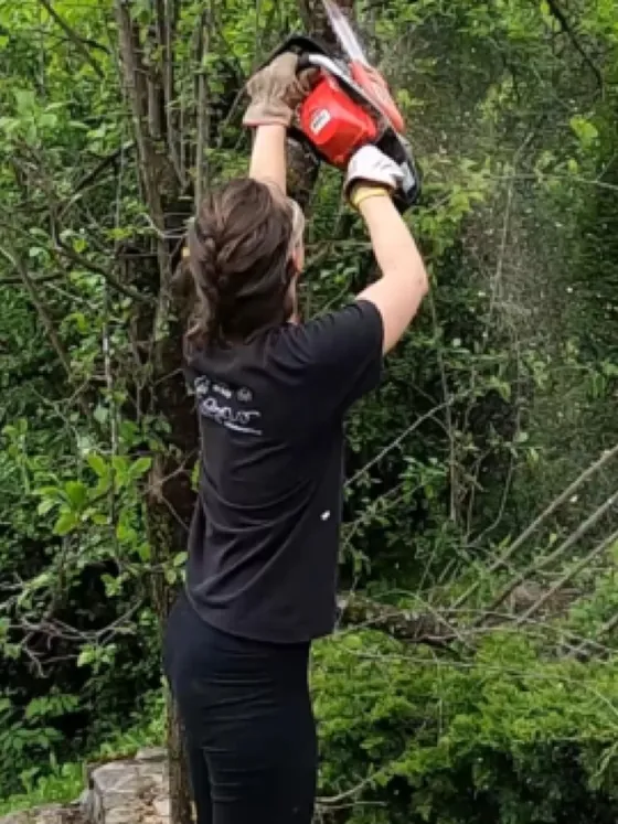 Jardin paysager entretenu, haies taillées