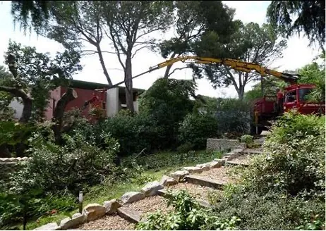 Le bras de grue passe au-dessus d'un jardin pour atteindre l'arbre à démonter