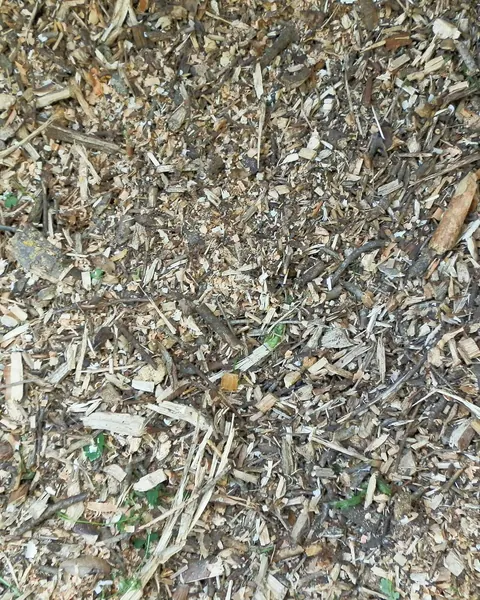 Broyat de branches en vrac, vu de près
