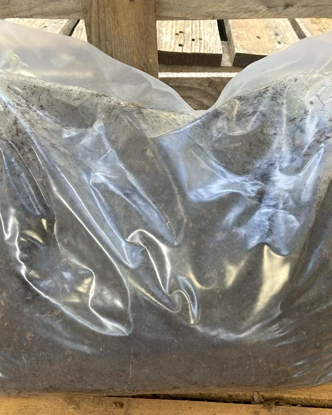 Sac transparent de compost végétal naturel, posé sur la palette à l'atelier