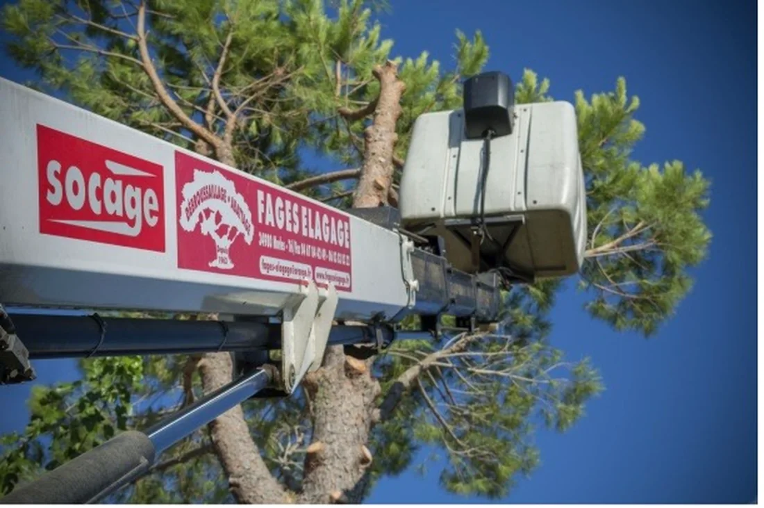 La nacelle de Fages Élagage déployée dans la couronne d'un pin, la banderole de l'entreprise visible sur le bras